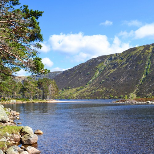 Lochmuick Ballater Scotland Stuart Gordon