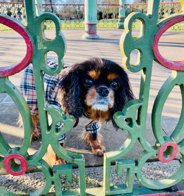 Erin at Duthie Park Aberdeen