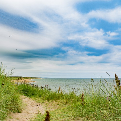 Balmedie Beach Aberdeen Scotland