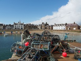 Stonehaven Harbour