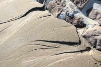 Seashore Dalriada
